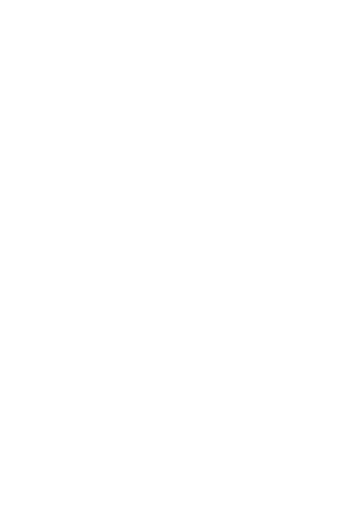 TÜMERHAN TWINS