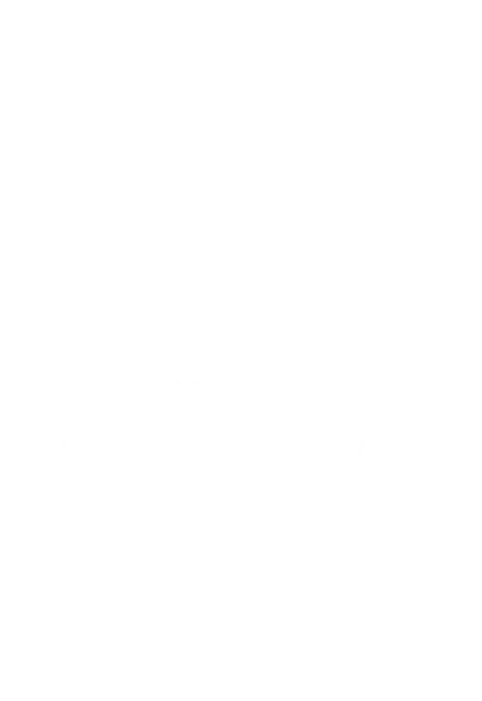 VILLA THE SAME